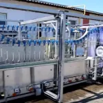 Od tuszki do produktu - maszyny do obrabiania drobiu, które zrewolucjonizują Twój zakład