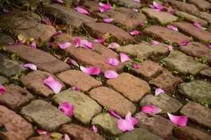 Najpiękniejsze aranżacje podjazdów z kostki betonowej